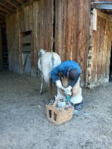 Perfect kids horse - Photo 8