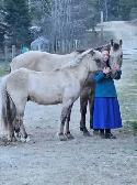Perfect kids horse - Photo 9
