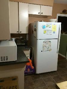 Shared House Carling & Richmond $600 - available now - Photo 9