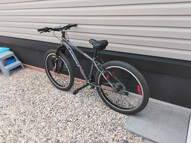 Mens Bicycle
