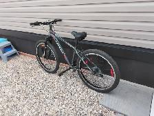 Mens Bicycle