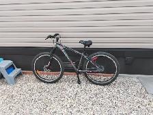 Mens Bicycle - Photo 2
