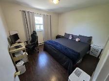 1 Bedroom Apartment for Rent in Hamilton