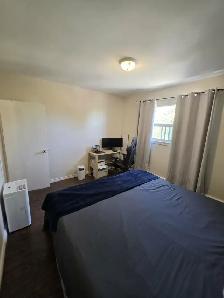 1 Bedroom Apartment for Rent in Hamilton - Photo 2