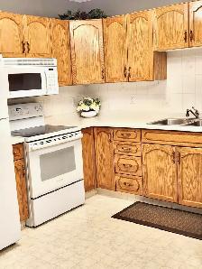 Condo for Sale - Photo 3