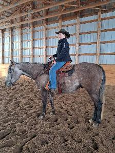 Grade Quarter horse gelding - Photo 9
