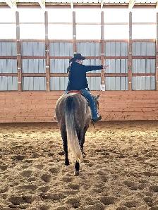 Grade Quarter horse gelding - Photo 10