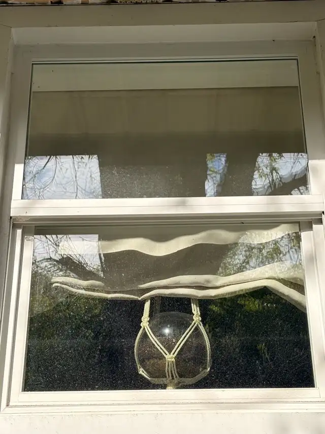Local Window Cleaning