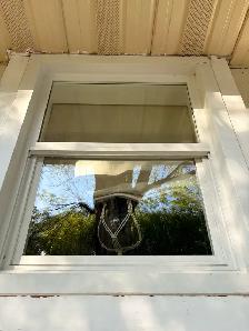 Local Window Cleaning - Photo 2