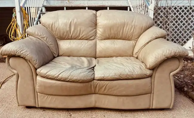 Couch & Loveseat