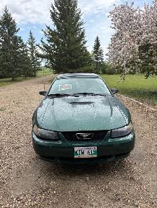 2001 ford mustang - Photo 4