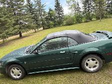 2001 ford mustang - Photo 6