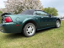2001 ford mustang - Photo 8