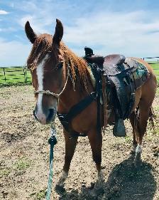 Colt starting spots available! - Photo 8
