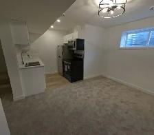 Legal Basement Suite in Creekwood Chappelle - Photo 2