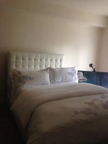 LUXURY TWO BEDROOM APT FOR RENT TO A PROFESSIONAL - Photo 11