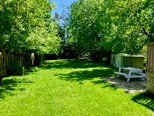 4 Bedroom Detached Home in Prime Etobicoke Location - Photo 10