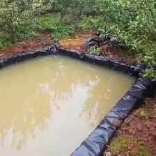 2030ft 12mil Fish Pond Liners Gardens Pools HDPE 056003 - Photo 7