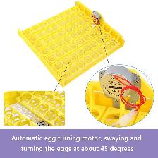 112 Eggs Automatic Commercial Bird Incubator 251126 - Photo 5
