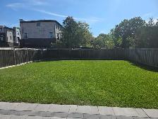 Grass trimmer Worker needed