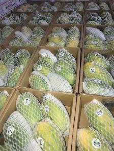 Pakistani Sindhri Mangoes