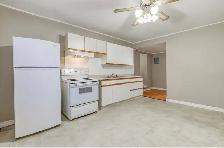 —1 Bedroom Apartments in Old South— - Photo 2