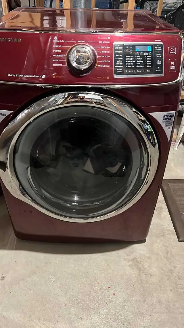Washer & Dryer both for $300
