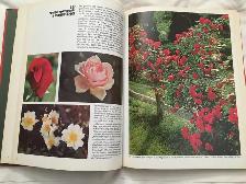 Encyclopédie jardinage  Collection Time Life 20 livres, 100$ - Photo 10