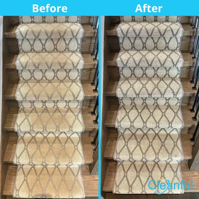 carpet and upholstery cleaning 647.300.2293