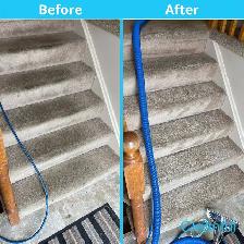 carpet and upholstery cleaning 647.300.2293 - Photo 3