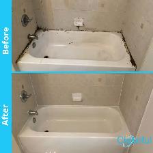 carpet and upholstery cleaning 647.300.2293 - Photo 4