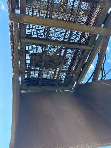 screening plant - Photo 3