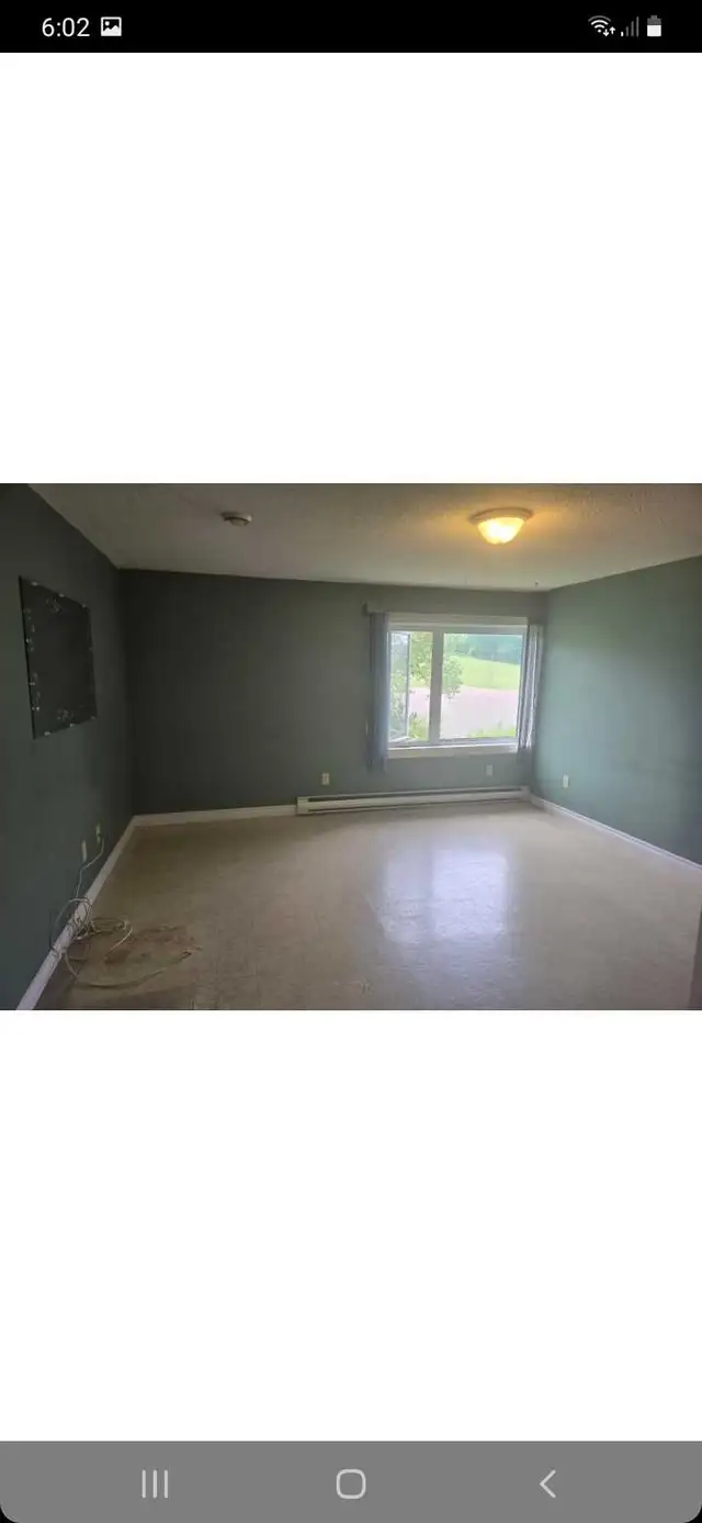 looking for a painter/helper