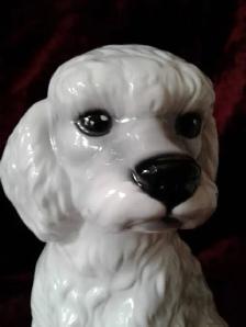 PETIT CANICHE DE PORCELAINE - Photo 3