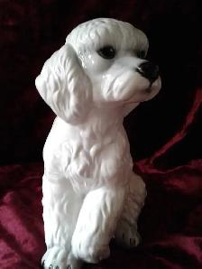 PETIT CANICHE DE PORCELAINE - Photo 6