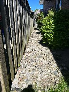 free river rocks
