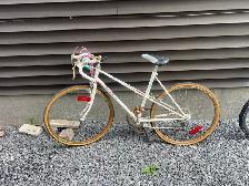 bicycle for sale