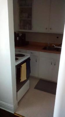 Large One Bedroom Apartment. Jackson Park. $1200 - Photo 4