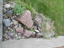 Garden Rocks