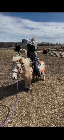 Green Broke Mini - Photo 4