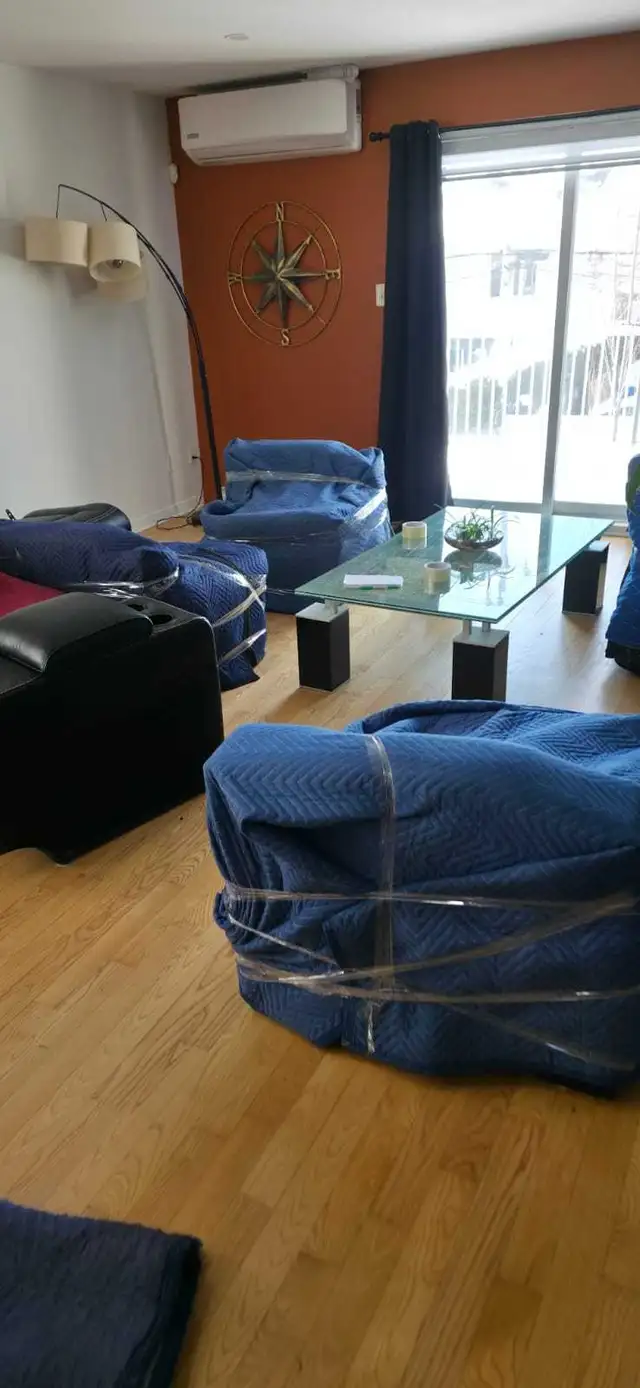 Transport, livraison⭐️petit demenagement! Delivery⭐️small move