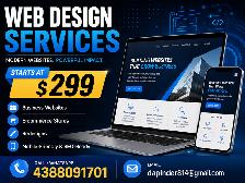 $299 Shopify and Web Design Help | Dapinder