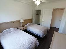 Furnished room in Female Shared Apt at Yonge & St Clair, Toronto - Photo 7