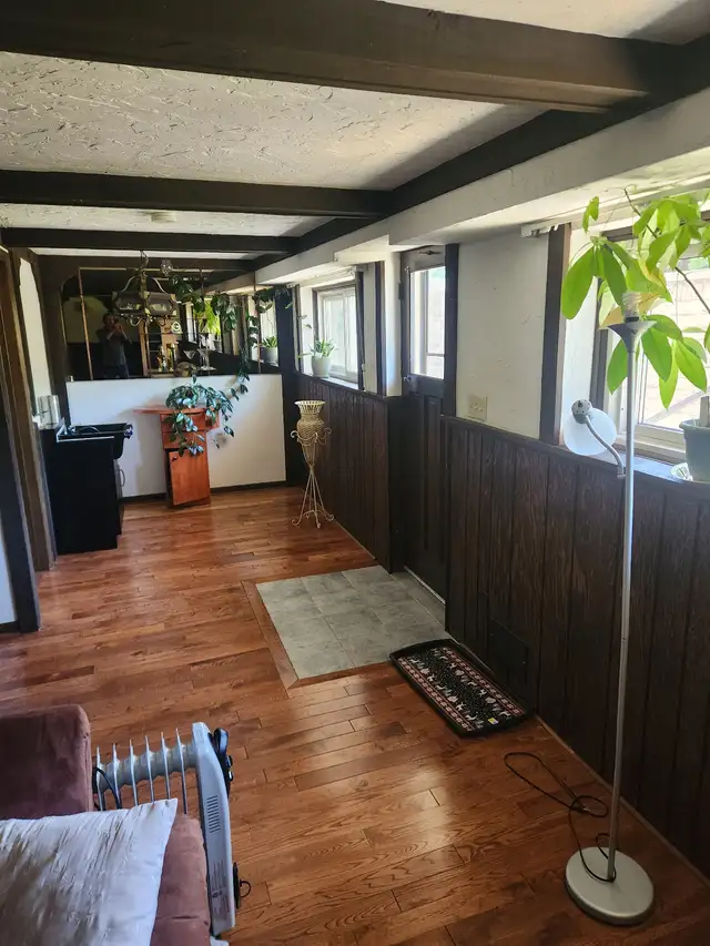 Walkout bsmt. for rent