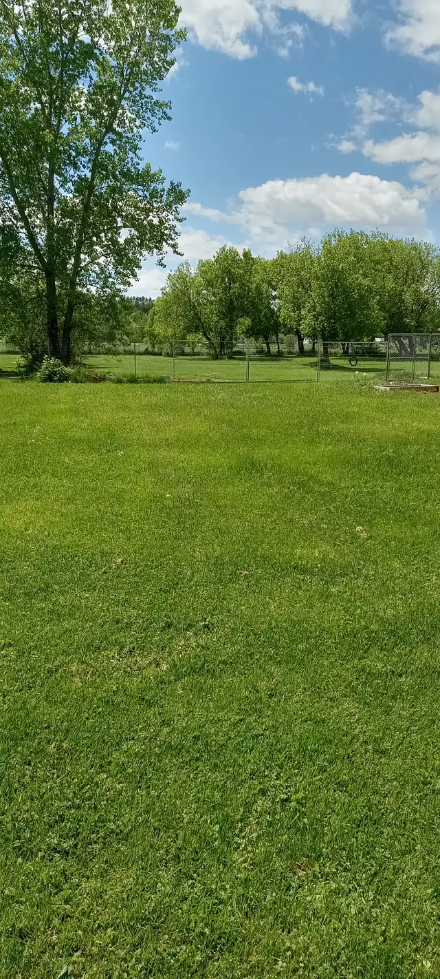 Doggy Daycare and Boarding in Bourget