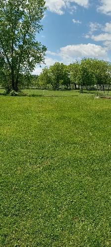 Doggy Daycare and Boarding in Bourget