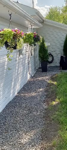 Doggy Daycare and Boarding in Bourget - Photo 4