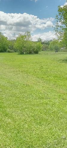Doggy Daycare and Boarding in Bourget - Photo 5