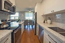 2-Bedroom Apartment for Rent in the Heart of Downtown Oakville! - Photo 4
