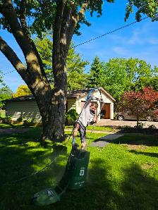 Pressure Washing Services - Photo 8